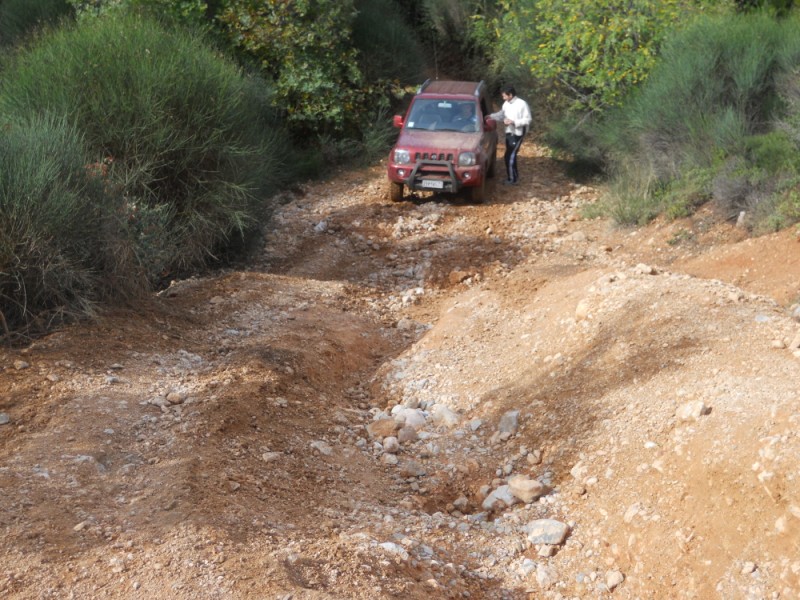 DSCN0461.jpg