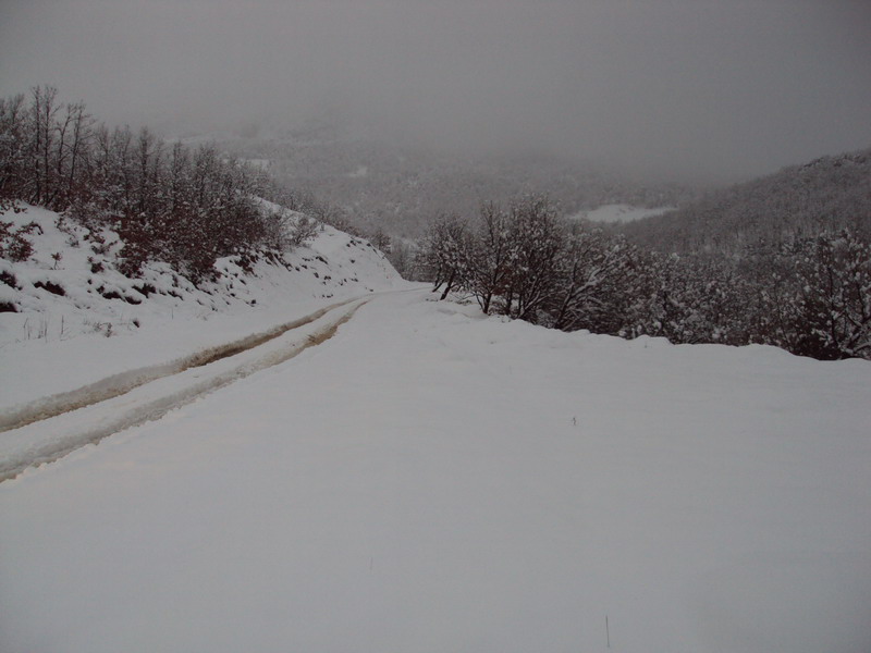 DSC013111.jpg