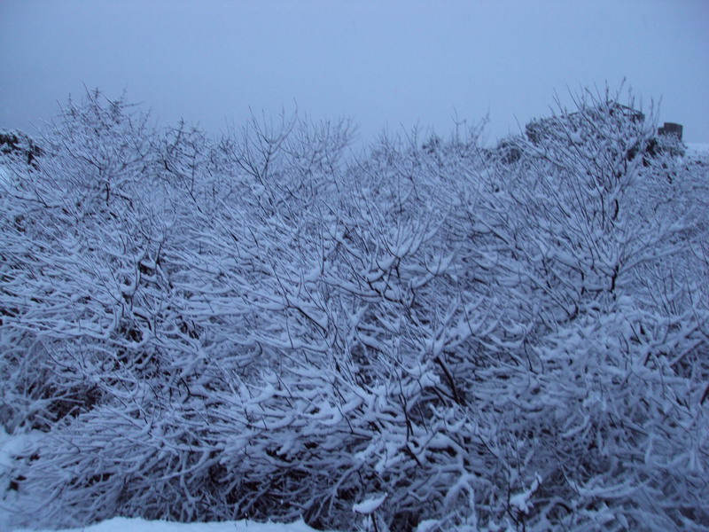DSC013741.jpg