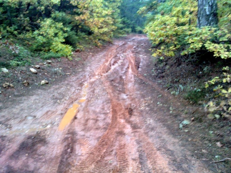 P291010_12.070003.jpg