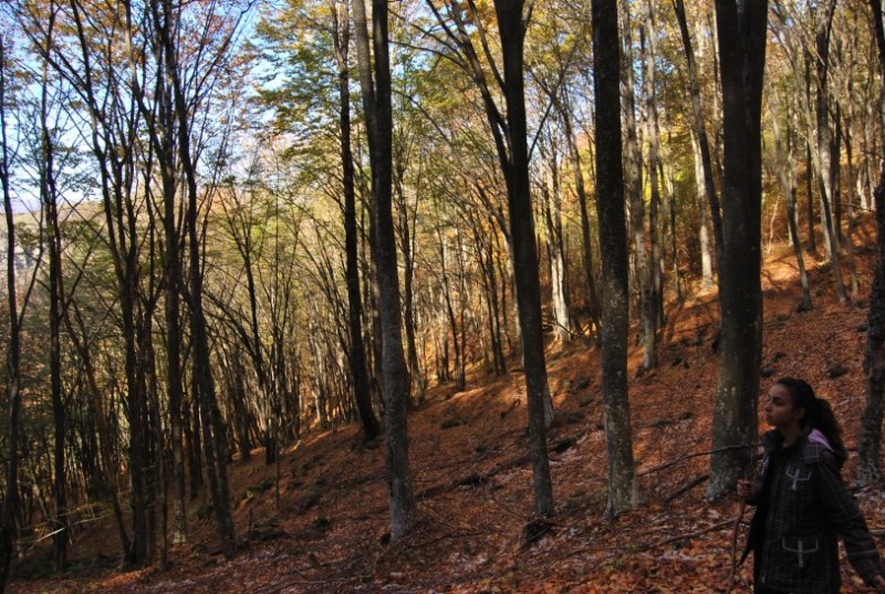 DSC_0857.jpg