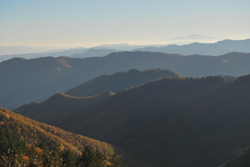 DSC_0816.jpg