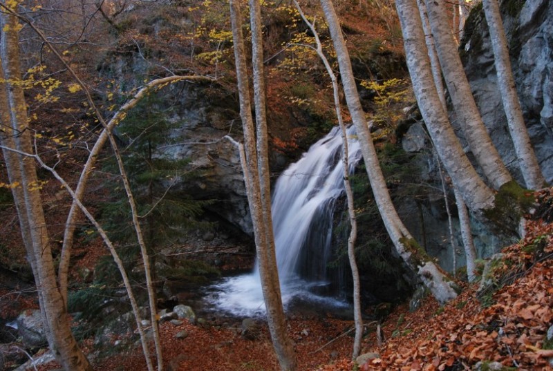 DSC_0784.jpg