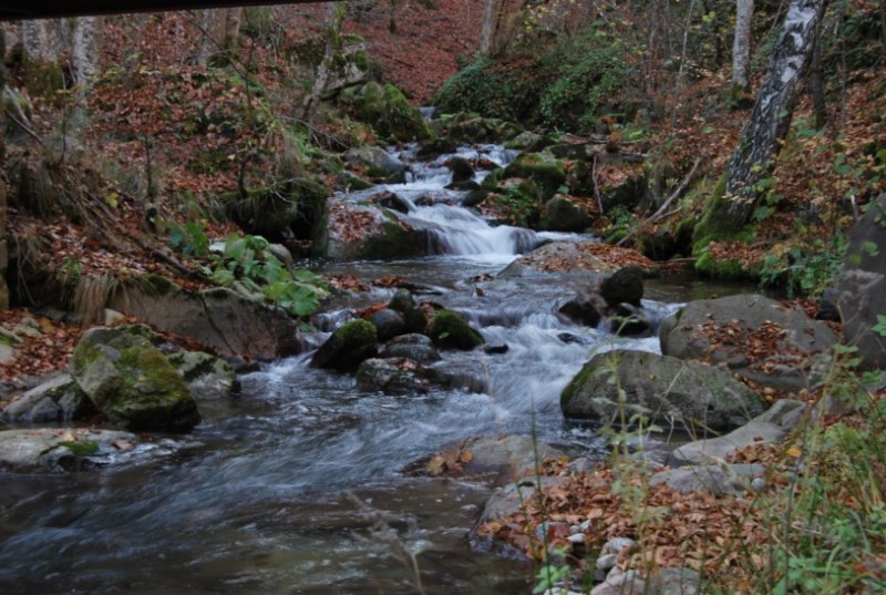 DSC_0763.jpg