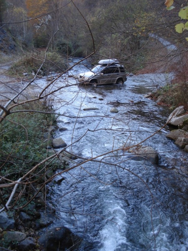 DSC09740.jpg