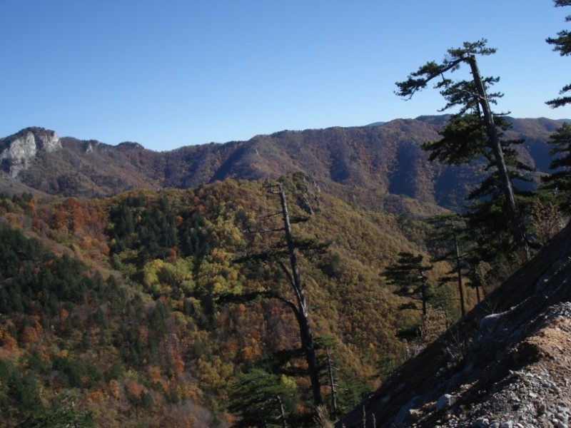 DSC09701.jpg