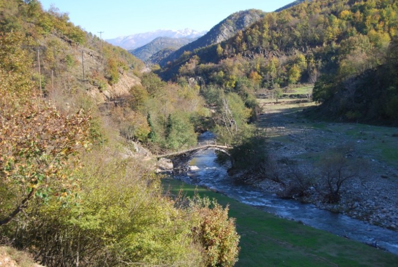 DSC_0656.jpg