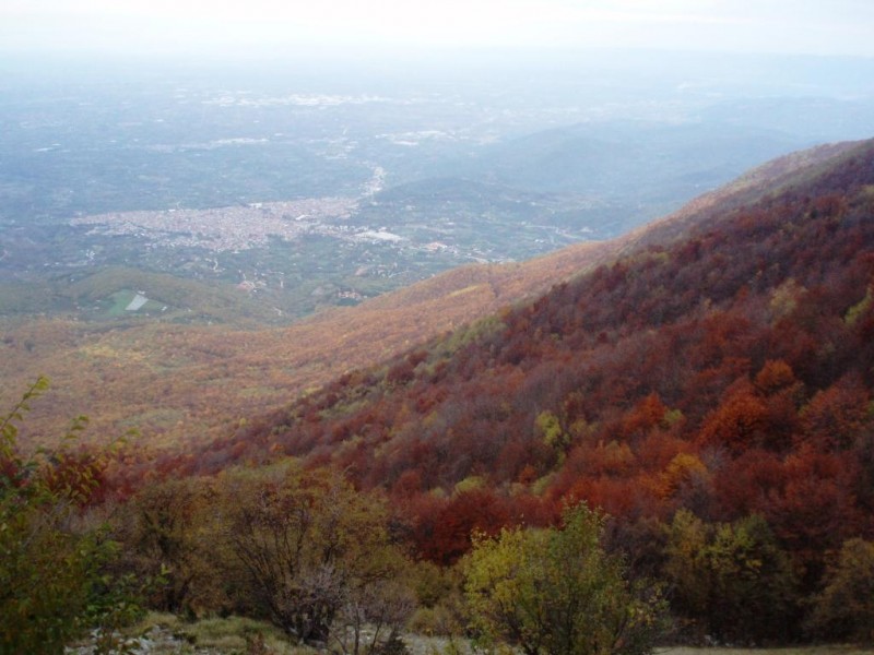 PA300021.JPG