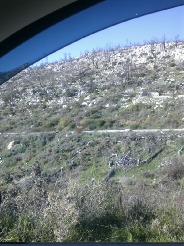 Εικόνα0173.jpg