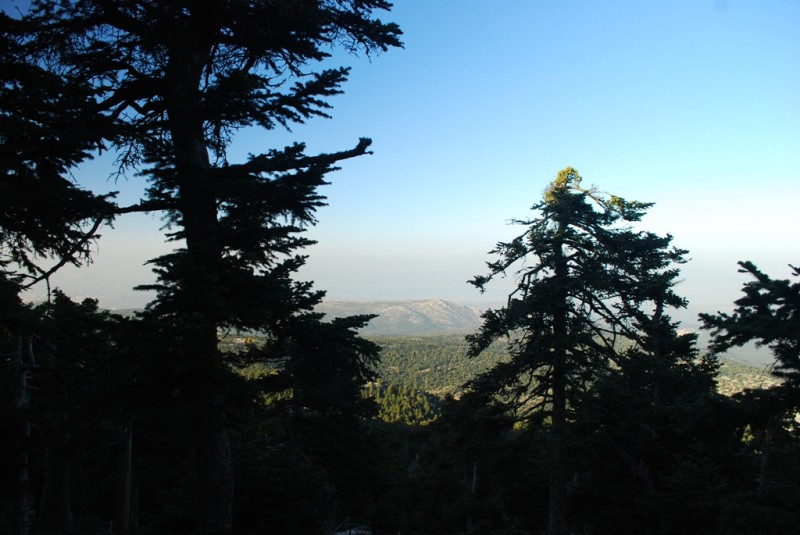 DSC_4141.JPG