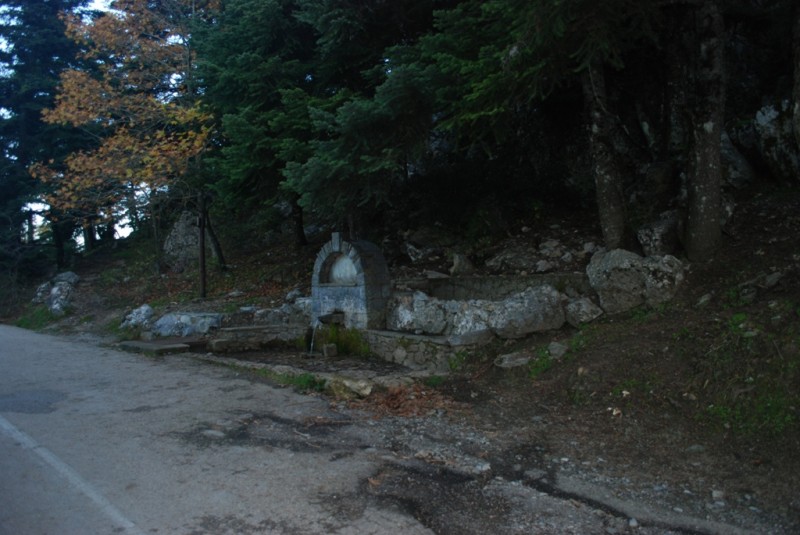 DSC_4146.JPG