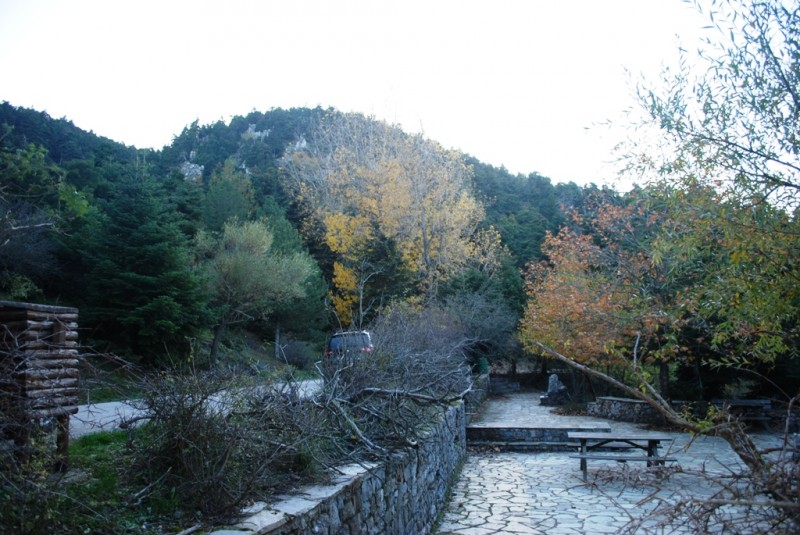 DSC_4156.JPG