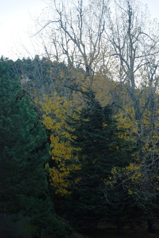 DSC_4158.JPG