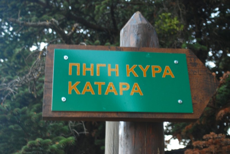 DSC_4165.JPG