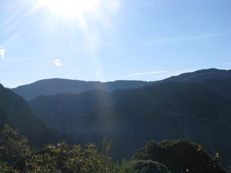 IMG_0040.jpg