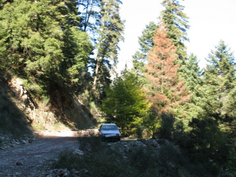 IMG_0192.jpg