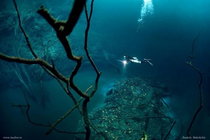 underwater-river02.jpg