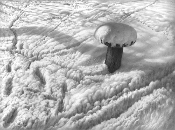 03 (600 x 447).jpg