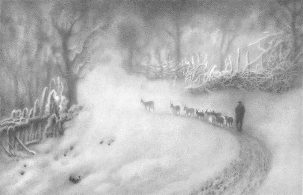 07 (600 x 386).jpg