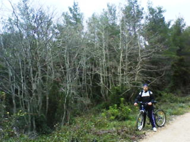 DSC00143.JPG