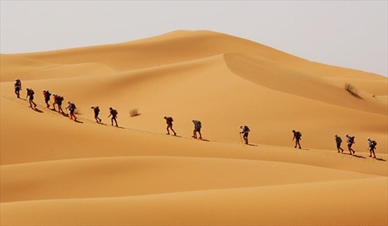 02 (550 x 321).jpg