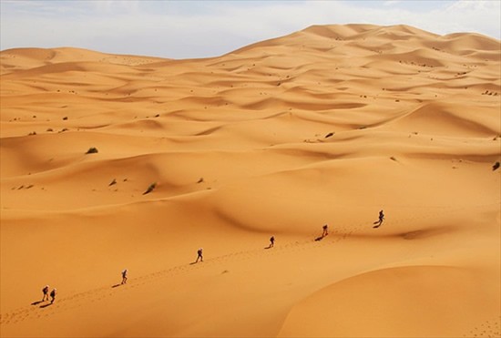03 (550 x 371).jpg
