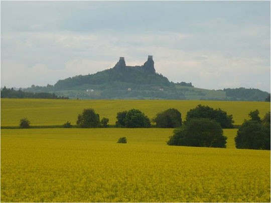 07 (540 x 405).jpg