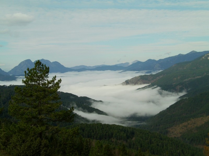 IMAG0238.jpg