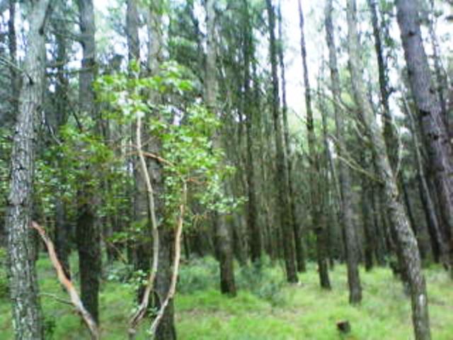 DSC00125.JPG