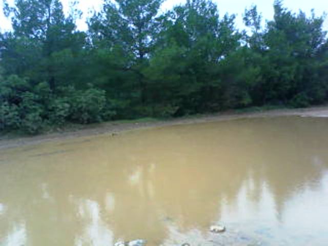 DSC00126.JPG