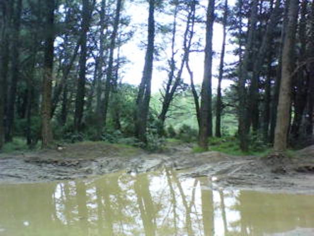 DSC00123.JPG