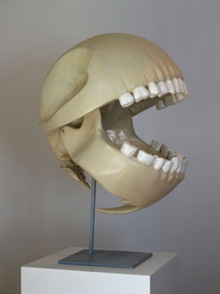 01 (449 x 600).jpg