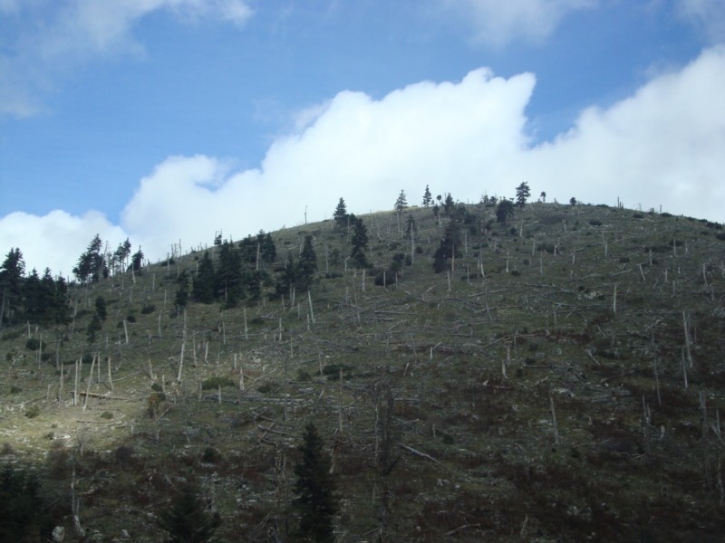 DSC07573.jpg