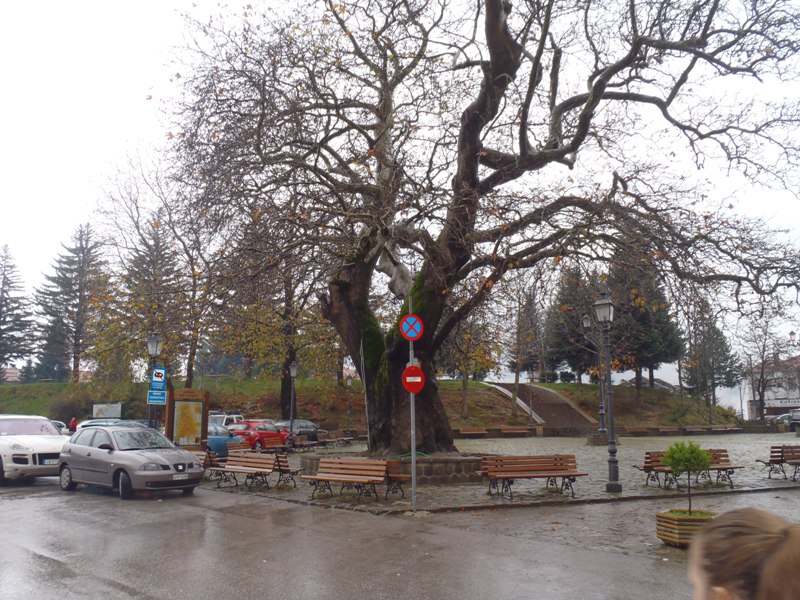 PB190004.JPG