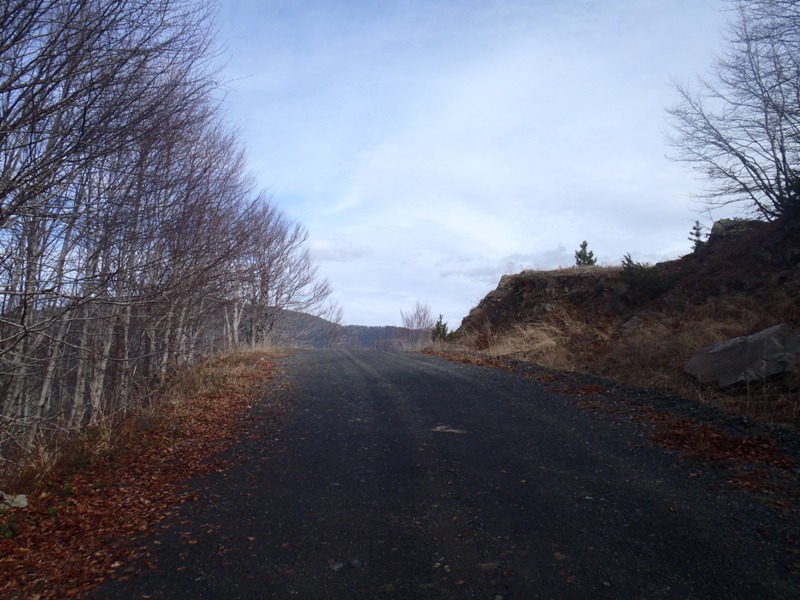 PB200224.JPG