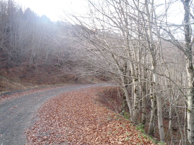 PB200225.JPG