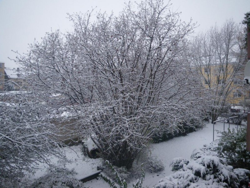 002_1024x768.jpg