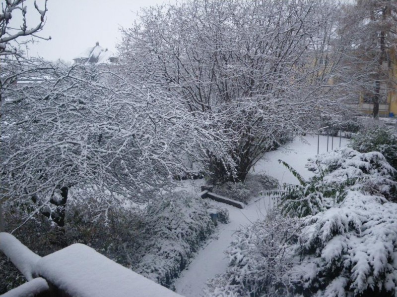 003_1024x768.jpg