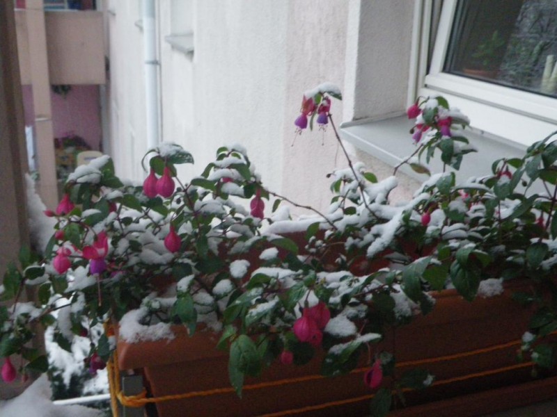 004_1024x768.jpg