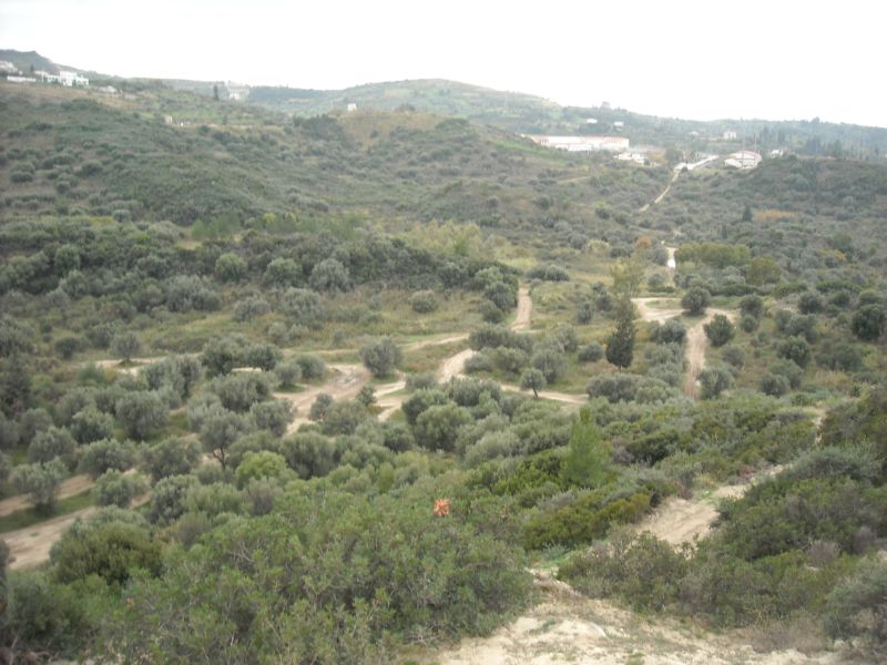 DSCN3288.JPG