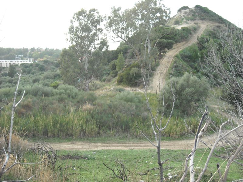 DSCN3335.JPG