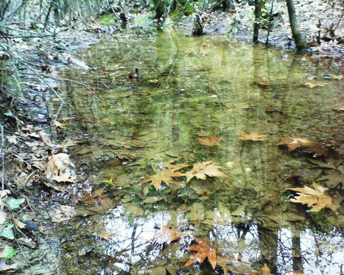 DSC00103.JPG