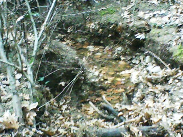 DSC00101.JPG