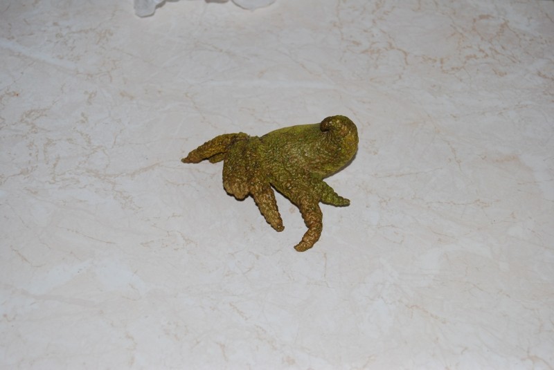 DSC_2534.JPG