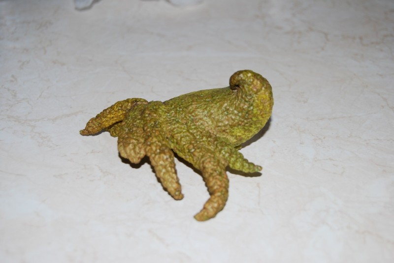 DSC_2536.JPG