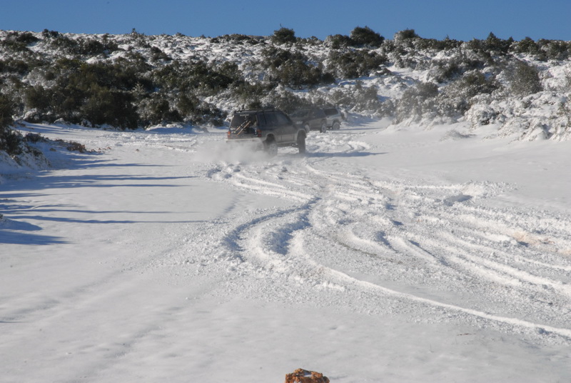 DSC_2911_resize.JPG
