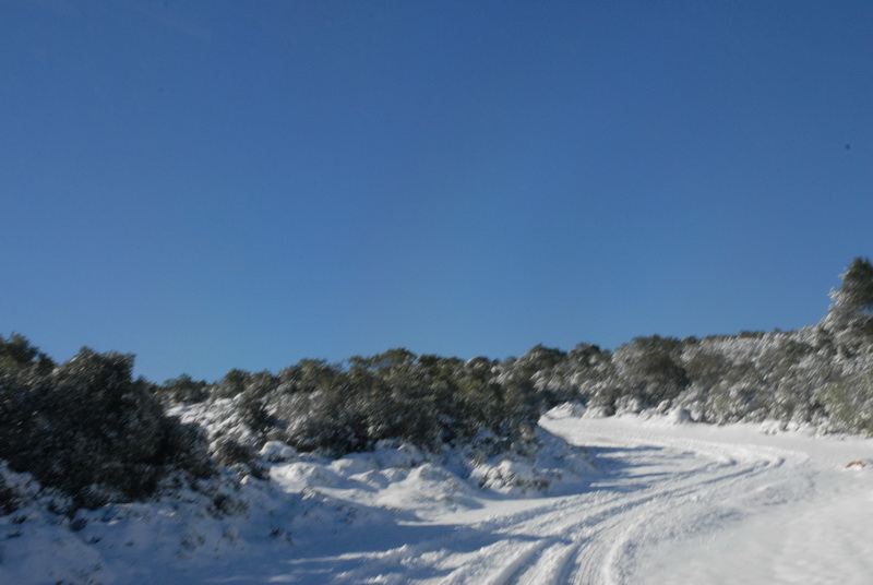 DSC_2900_resize.JPG