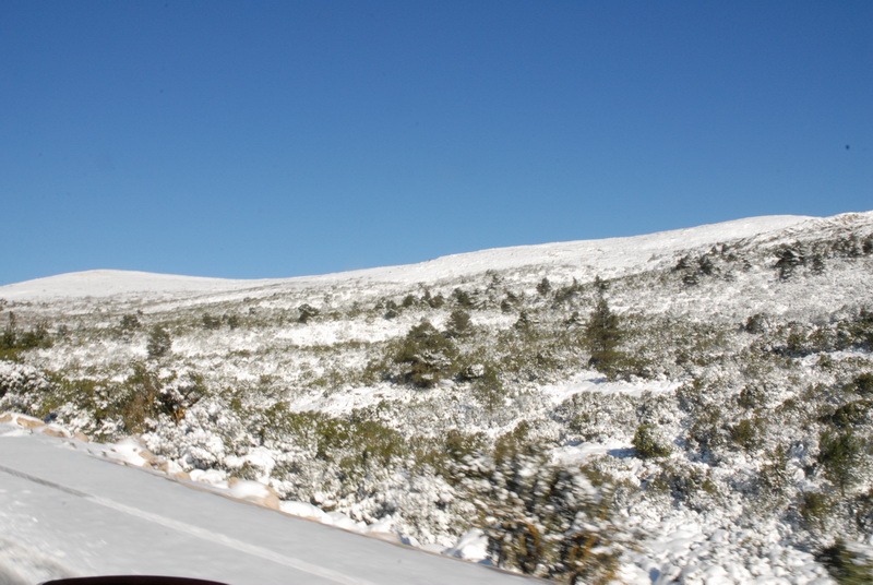 DSC_2898_resize.JPG