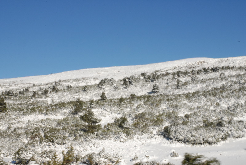 DSC_2896_resize.JPG