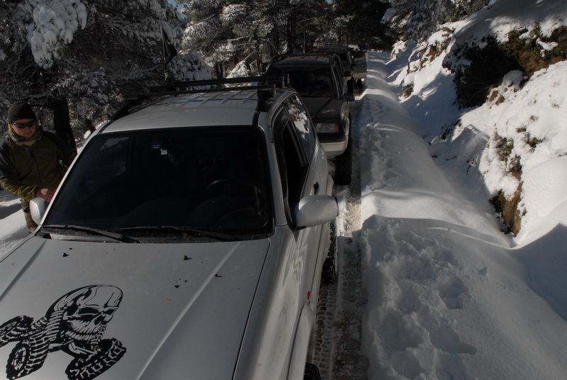 DSC_2936_resize.JPG